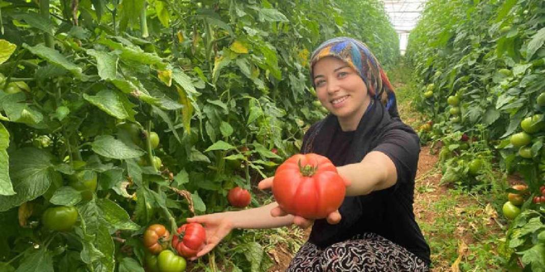 Üretimde aktif kadın eli! 550.000 ton ürün bekleniyor 6